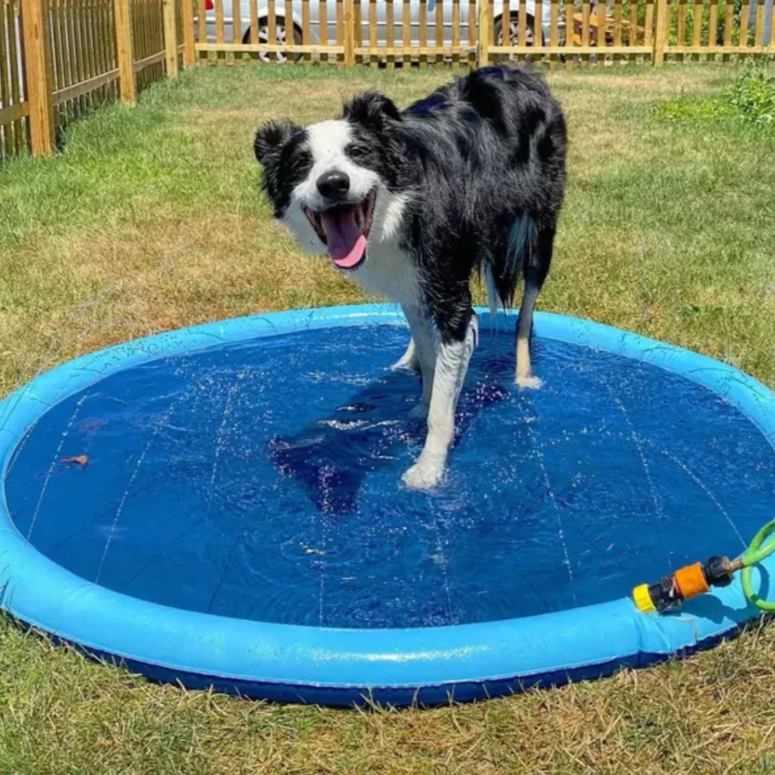 HAPPYTAIL Splash Pad