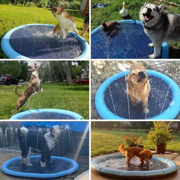 HAPPYTAIL Splash Pad